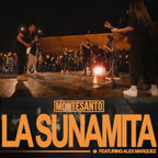 SongPresets Vol.1 (Español) | HX Stomp